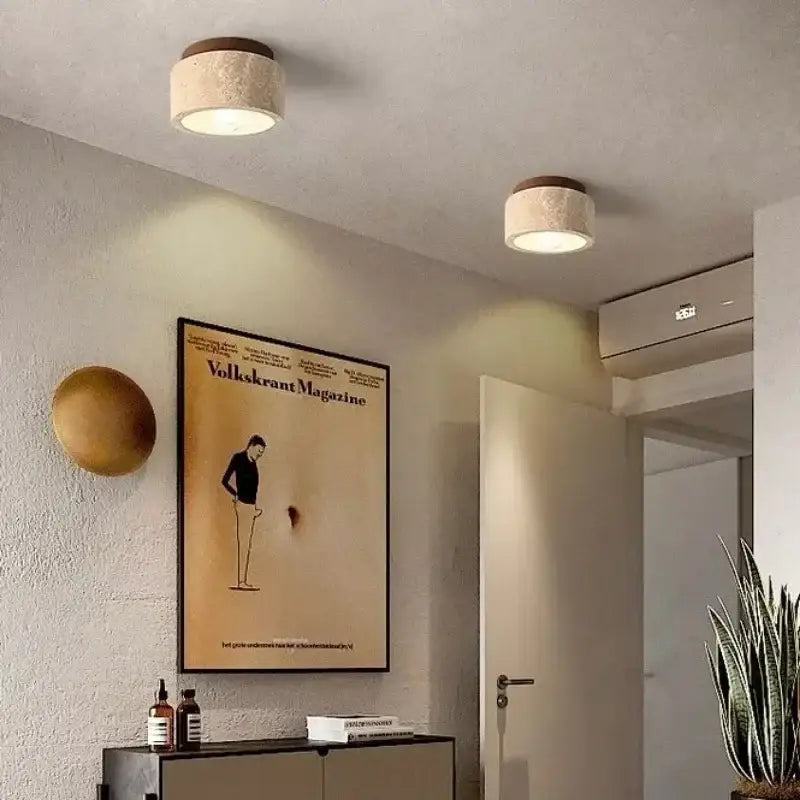 Plafonnier Élégant | LUMITECH