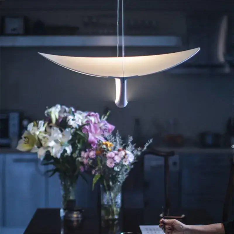 Suspension Luminaire Élégance | LUMIVISIONS