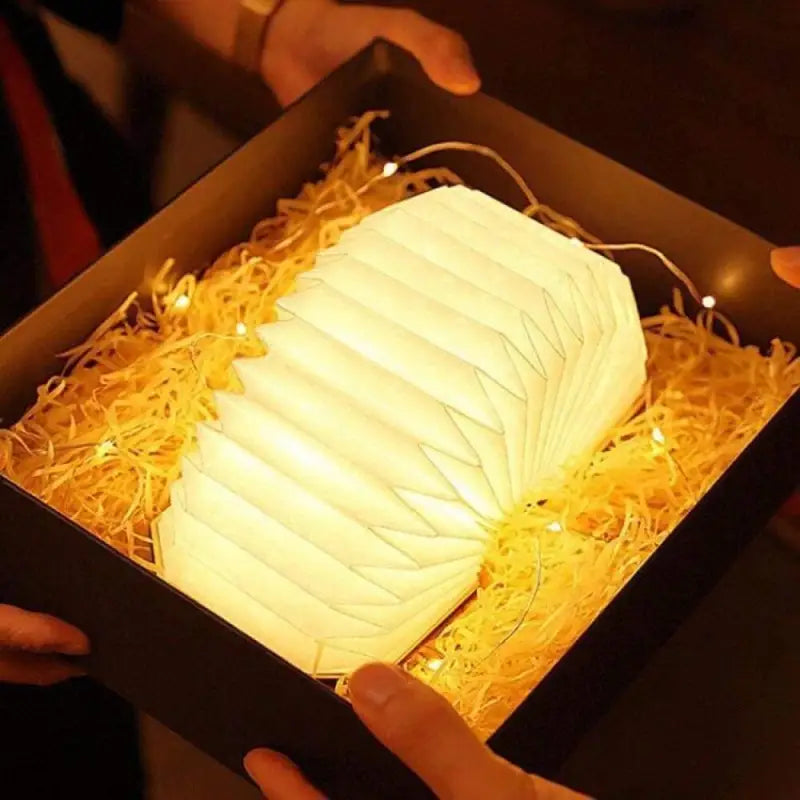 Lampe de Chevet Élégante | LUMINAIRE DESIGN